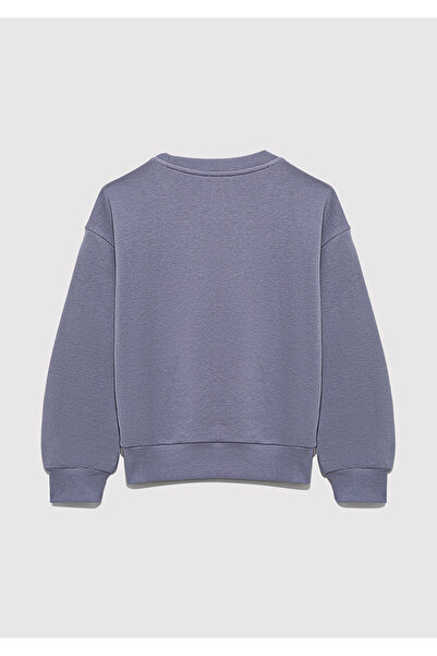 Mavi Logo Baskılı Mor Sweatshirt 7S10170-88095