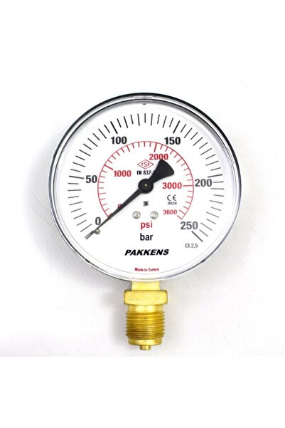 Pakkens 0-250 Bar 100 mm Alttan Bağlantılı Kuru Manometre G 1/2 inç