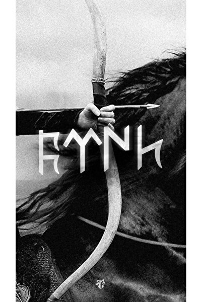 aydın garage Araba Kapı Direk Kaplama Folyosu ülkücü ok ve at