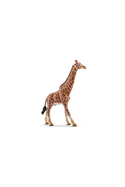 FW Girafa masculină Schleich - Model 14749