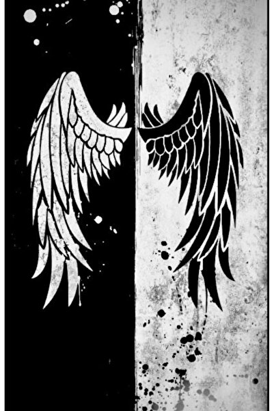 aydın garage Araba Kapı Direk Kaplama Folyosu melek kanatları