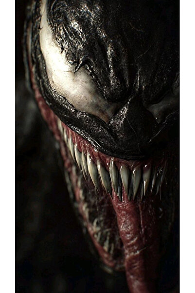 aydın garage Venom Kapı Direk Kaplama Folyosu BASKILI STİCKER Sağ-Sol 2 Adet 22*50 CM