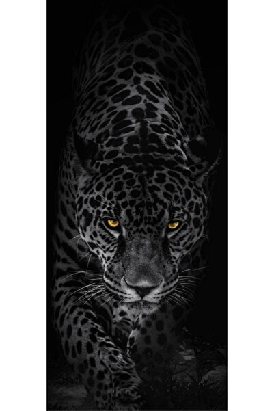 aydın garage Araba Kapı Direk Kaplama Folyosu Siyah Leopar