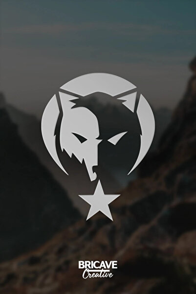 aydın garage Kurt Börü Logo Araba-motosiklet Sticker 22x28cm