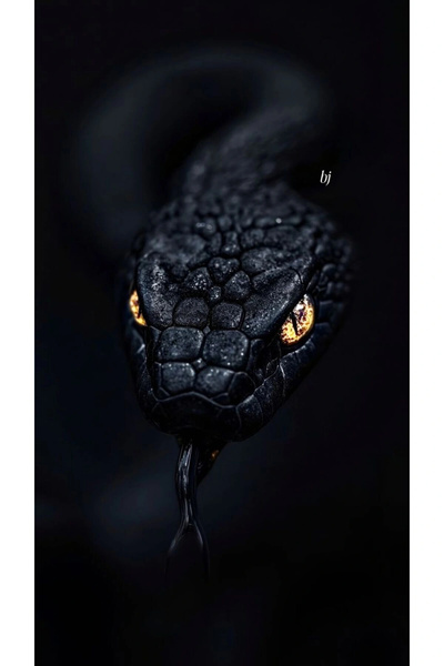 aydın garage Yılan Kapı Direk Kaplama Folyosu BASKILI STİCKER Sağ-Sol 2 Adet 22*50 CM