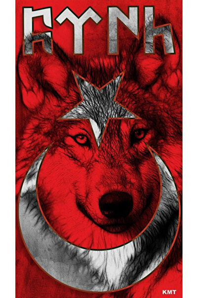 aydın garage Araba Kapı Direk Kaplama Folyosu kurt ve türk bayrağı