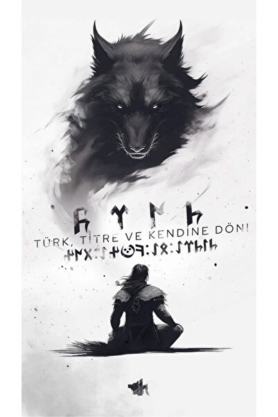 aydın garage Araba Kapı Direk Kaplama Folyosu kurt