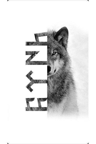 aydın garage Araba Kapı Direk Kaplama Folyosu kurt