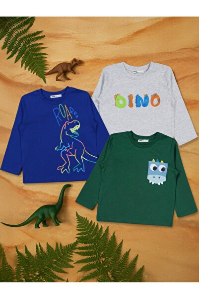 Civil Boys Set de 3 hanorace cu imprimeu Dino pentru vârstele 2-4 ani - Stand...