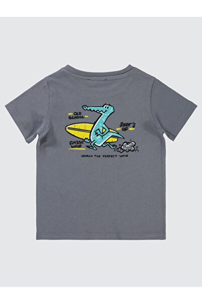 Civil Boys Palmiye Printed 2-5 Years Old T-Shirt - Gray 5-6 Years Old