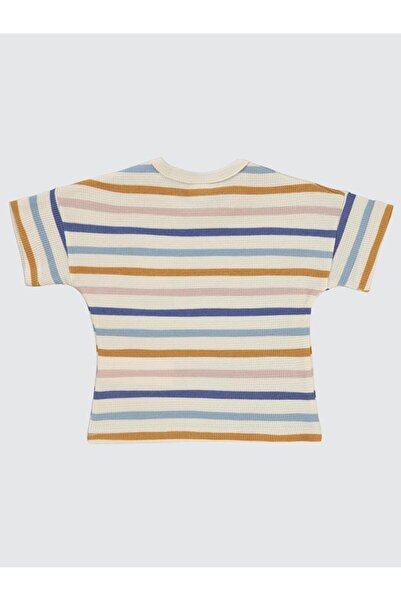 Civil Baby Baby Boy T-Shirt 6-18 Months Elephant