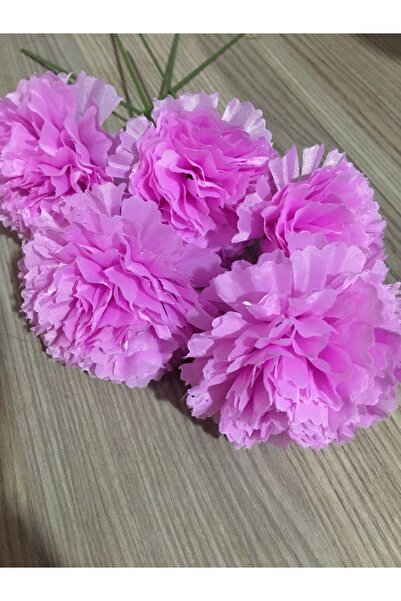 çiçek mariya 5 Adet KARANFİL DALLI Yapraksız # karanfil #krizantem #gül