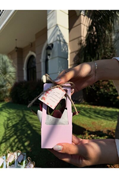 FİDAN PAZARI ÖĞRETMENLER GÜNÜ ÖZEL SÜSLEMELİ HEDİYELİK SUKULENT (PEMBE RENK 2...