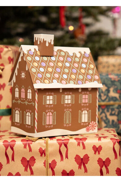 Flying Tiger Copenhagen Kurabiye Ev Şeklinde Hediye Kutusu