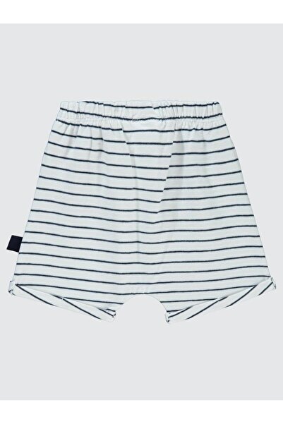 Civil Baby Striped Print 6-18 Months Shorts - White6-9 Months
