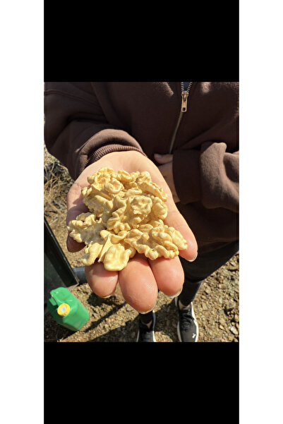 Çamlıbel Çiftliği 3 Kg - Ince Kabuklu Chandler Yerli Ceviz (GELİBOLU) - Yeni Hasat - Zeus Ceviz