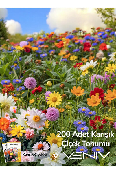 VENİV AGRİCULTURE 200 Adet Karışık Çiçek Tohumu- 2 Paket