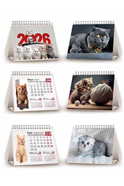 Orkide Matbaacilik Üçgen Masa Takvimi - Kedi Resimli Masa Takvimi Üçgen 13 Yaprak 2025