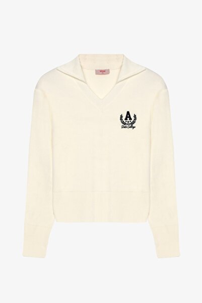 Quzu Nakış İşlemeli V Yaka Triko