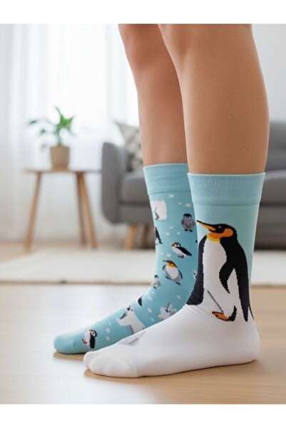 AKSU ÇORAP جوارب بنمط البطريق الأيمن والأيسر