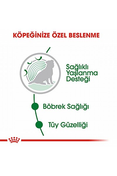 Royal Canin Mini Ageing 12+ Pouch Yaşlı Köpek Konservesi 85 Gr