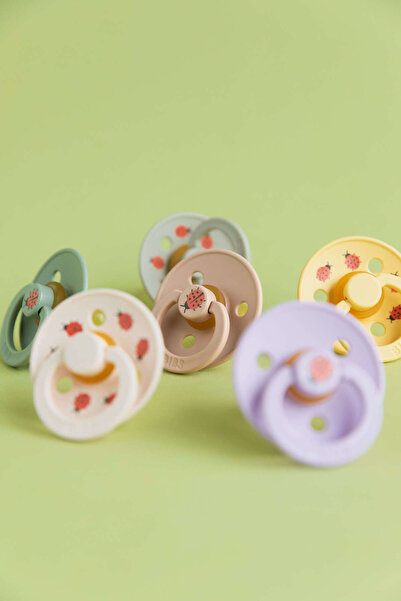 Bibs Studio Colour Ladybug Friends Emzik-Petal 6 Ay+