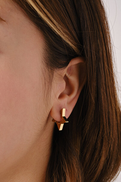 ByFlorya Jewelry Çelik Yıldız Küpe Kararmaz Plaka 2cm Günlük Kullanıma Uygun