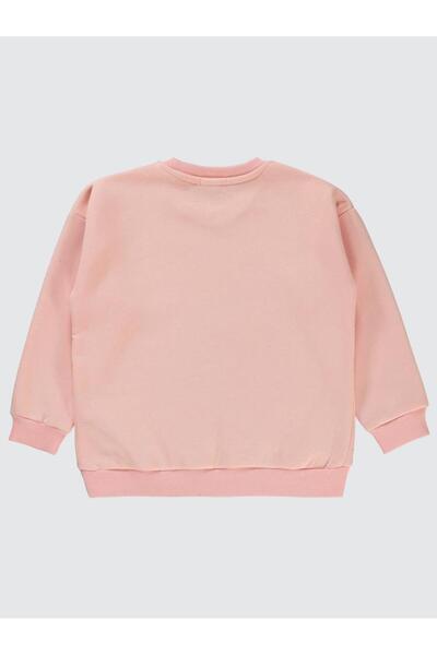 Civil Girls Pullu Baykuş Baskılı 6-9 Yaş Sweatshirt - Pudra9-10 Yaş