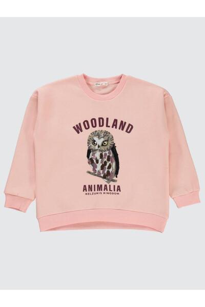 Civil Girls Sequin Owl Printed 10-13 Years Old Sweatshirt - Powder 10-11 Year...