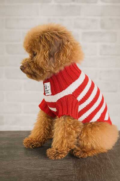 faramiss fashion SELANİK ÖRGÜ KEDİ KAZAK KÖPEK KAZAK FARAMİSSPET