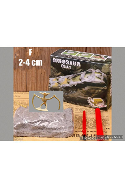 AZİZ OYUNCAK Pteronodon Dinozor Iskelet Fosil Türü. Arkeolojik Kazı Kiti Aktivite Bilim Eğitici Set 8x9cm Kutu