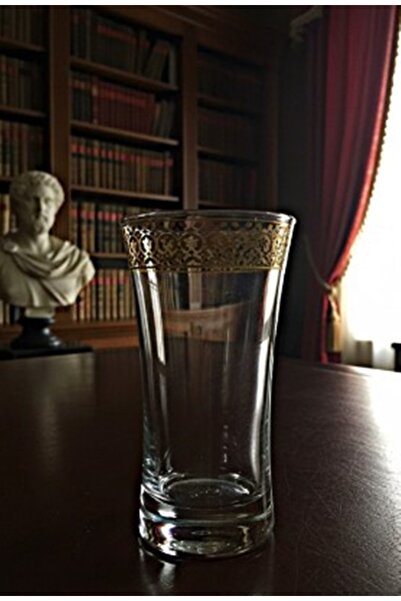 DECOSTYLE Gold Tulip Embroidered Soft Drink Glass 300 Cc 6 Pieces.