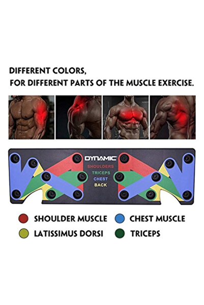 Dynamic Push Ab Board – Çok Fonksiyonlu Core & Push‑Up Egzersiz Tahtası