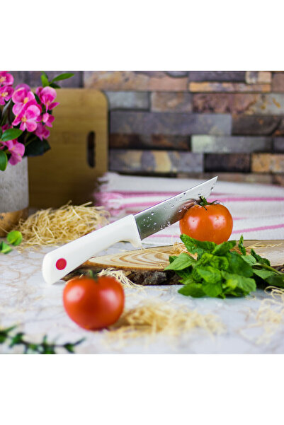 HIC سكين المطبخ الياباني 5 بوصة - 25 سم