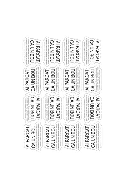 autostickere Set de 16 autocolante din hârtie „Ai parcat ca un idiot”, 6 cm x...