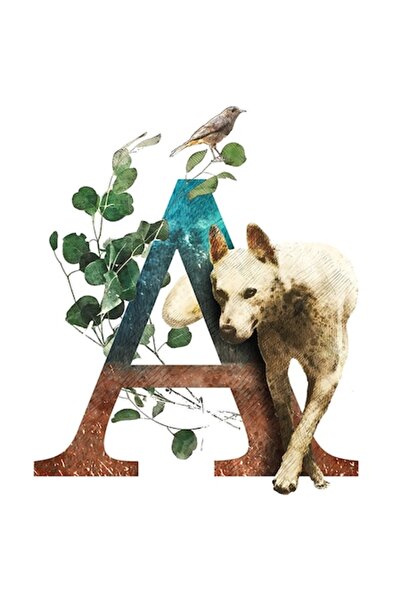 OEM Autocolant cu câine, litera A, pasăre, fructe, borduri albe, vinil PVC 15 cm