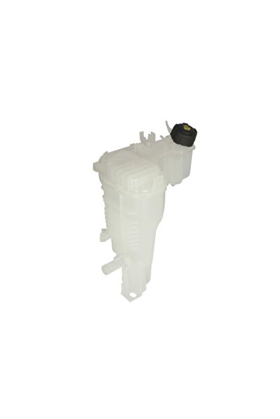 Thermotec Vas de expansiune, set filtre de schimb, Renault LAGUNA III (BT0/1)