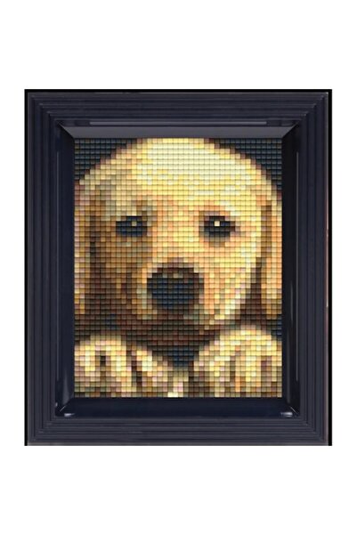 Pixelhobby Set Creativ Pixel Hobby, Catelus Goldenretriever, 40 x 50 pixeli, Multicolor