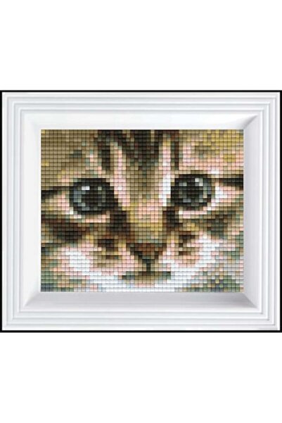 Pixelhobby Set Creativ Pixel Hobby, Pisica, 40 x 50 pixeli, Multicolor