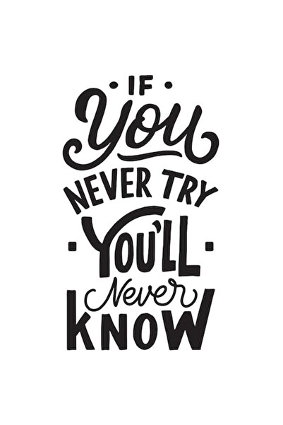 OEM Motivational Sticker 'If You Never Try You'll Never Know' - Black with Wh...