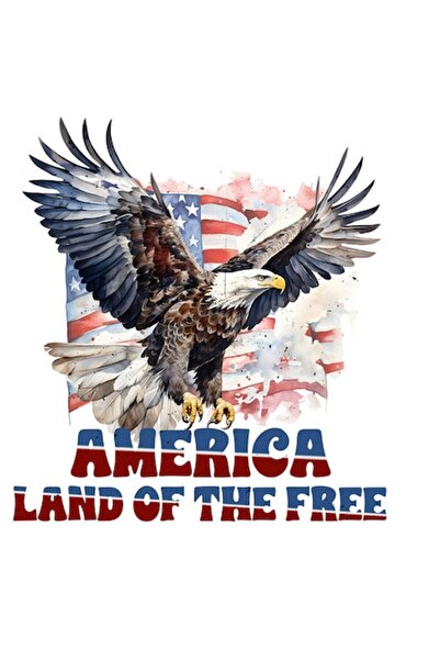 autostickere Autocolant vultur pleșuv „America, țara libertății” - vinil PVC 15 cm