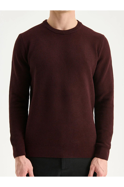 LC Waikiki Ανδρικό πλεκτό πουλόβερ LCW Vision με λαιμόκοψη με καρό σχέδιο