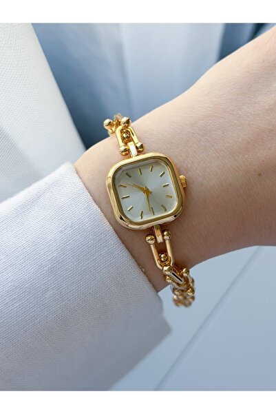 CHARMLUCKY Steel Tora Watch