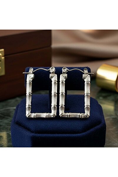 KEVSA Jewelry Stainless Steel Earrings- CM1894