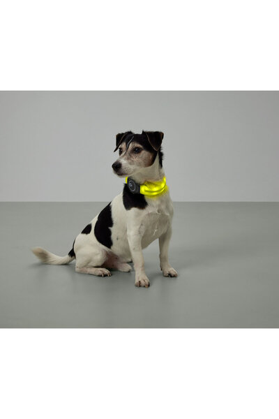 Tchibo LED’li Köpek Tasması