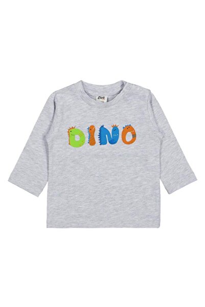 Civil Baby Dıno Baskılı 3'lü Set 6-18 Ay Sweatshirt - Standart 12-18 Ay