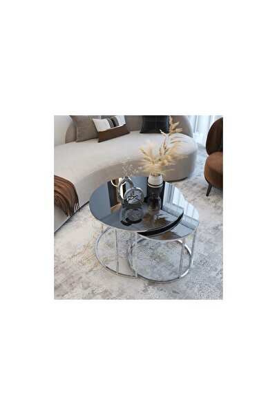 Vivense TUBİHOME YAVRULU ORTA SEHPA, GÜMÜŞ AYAK, SİYAH CAM