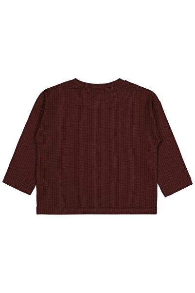 Civil Boys سويت شيرت جاكار بيتك 2-5 سنوات - أحمر كلاريت 3-4 سنوات