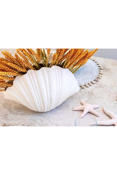 Vivense İSKANDİNAV İSTİRİDYE VAZO, BEYAZ