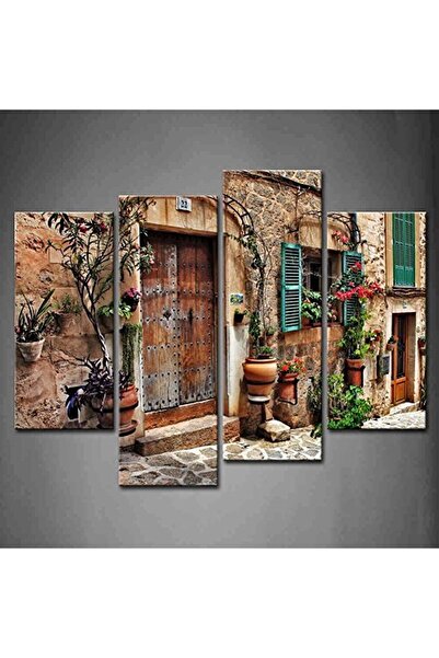 Today Idea زهور المدن المتوسطية القديمة